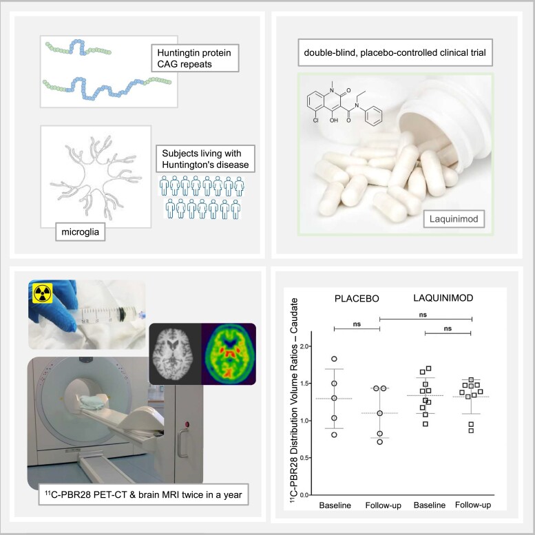 Graphical Abstract