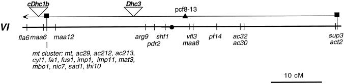 Figure 8