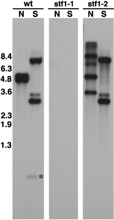 Figure 9