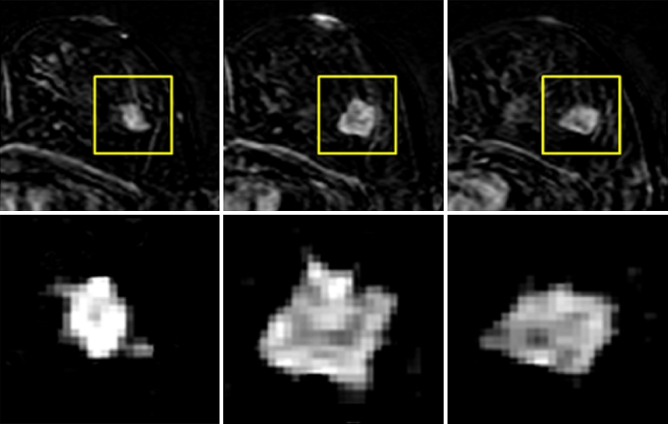 Fig. 2