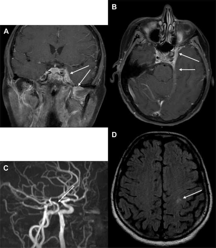 Fig. 5