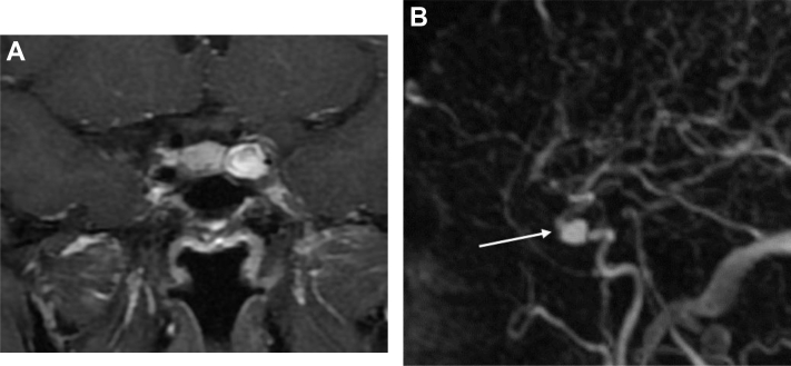 Fig. 6