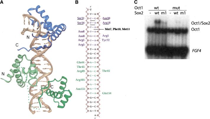 Figure 2.