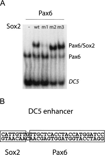 Figure 5.