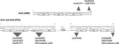 Figure 6.