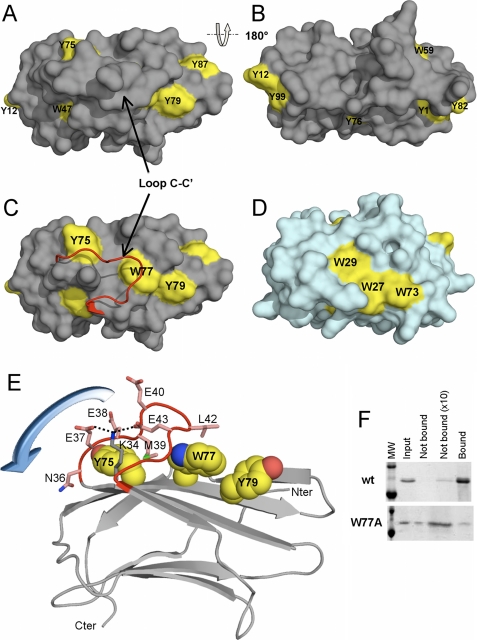 FIGURE 5.