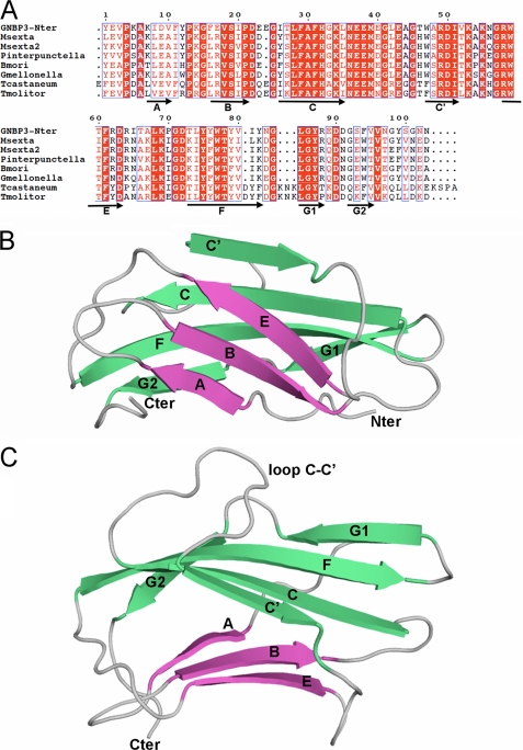 FIGURE 4.