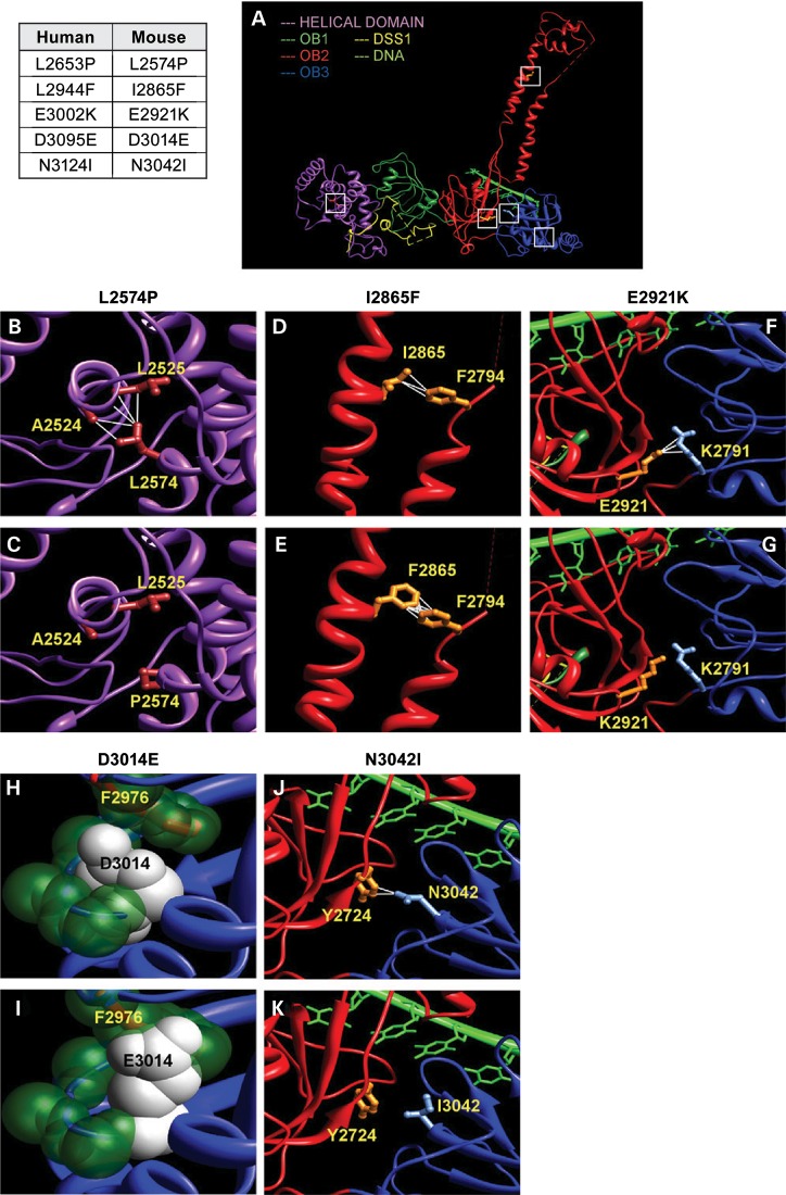 Figure 2.