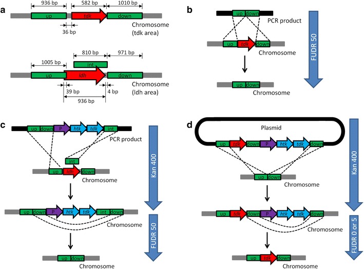 Fig. 2