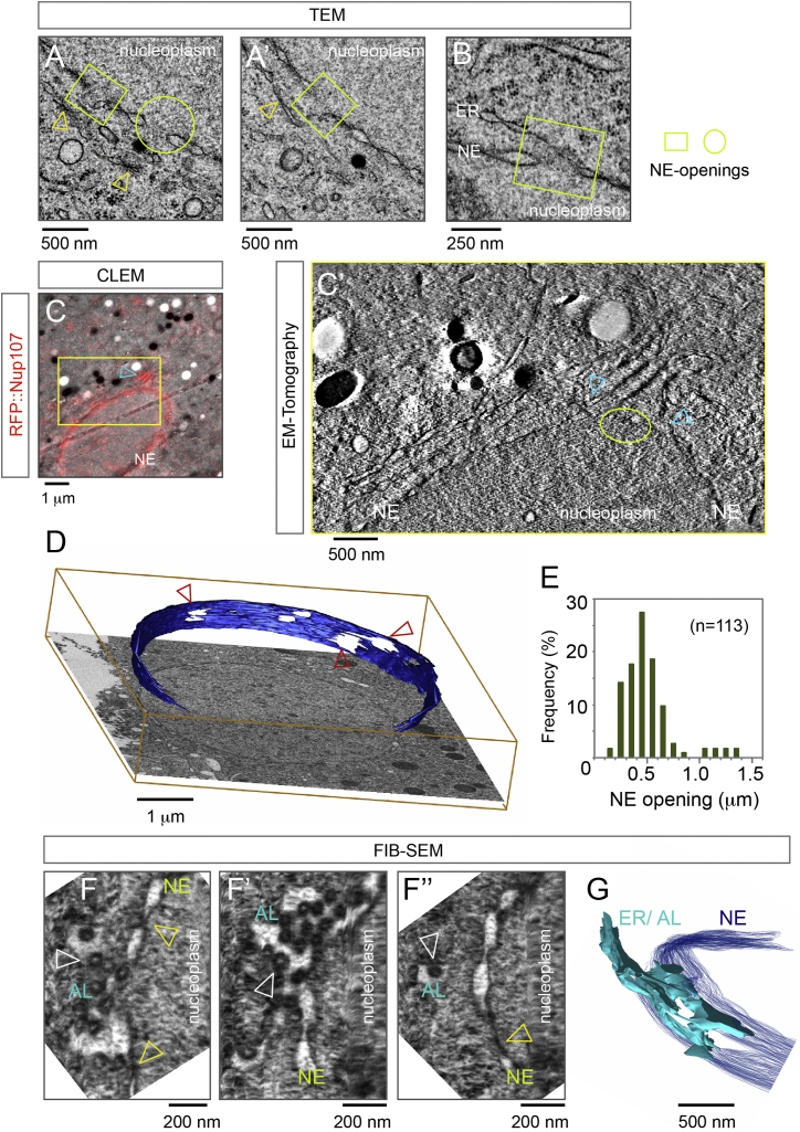 Figure 3