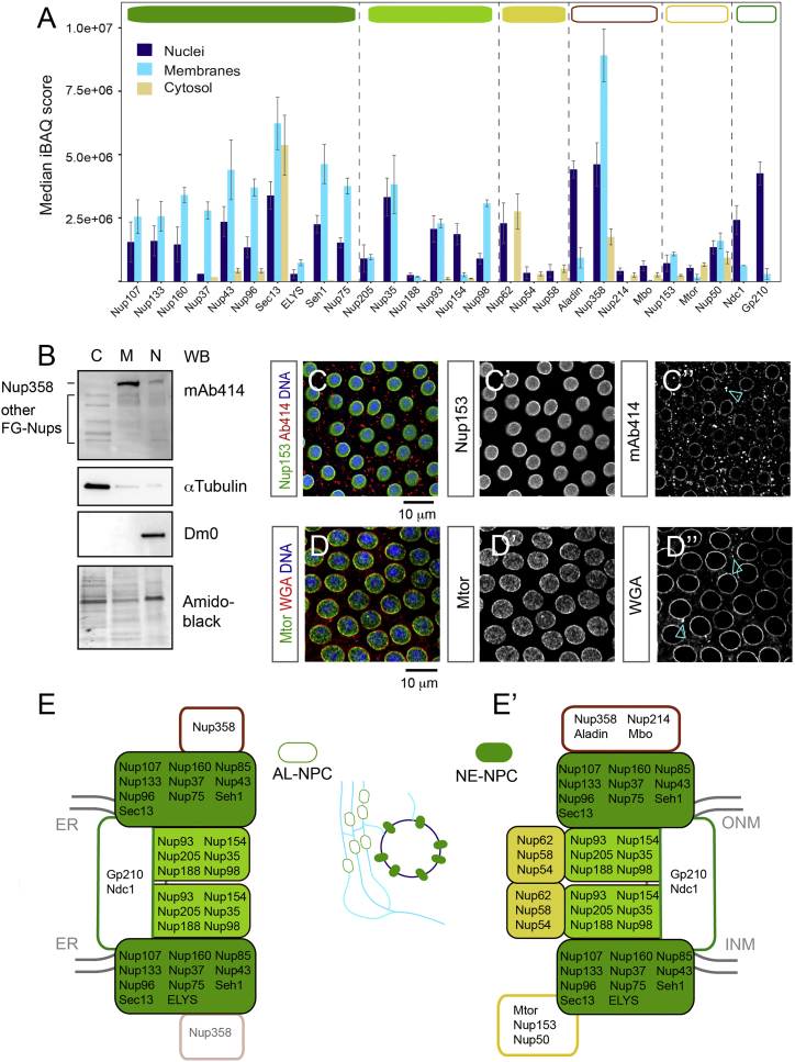 Figure 2