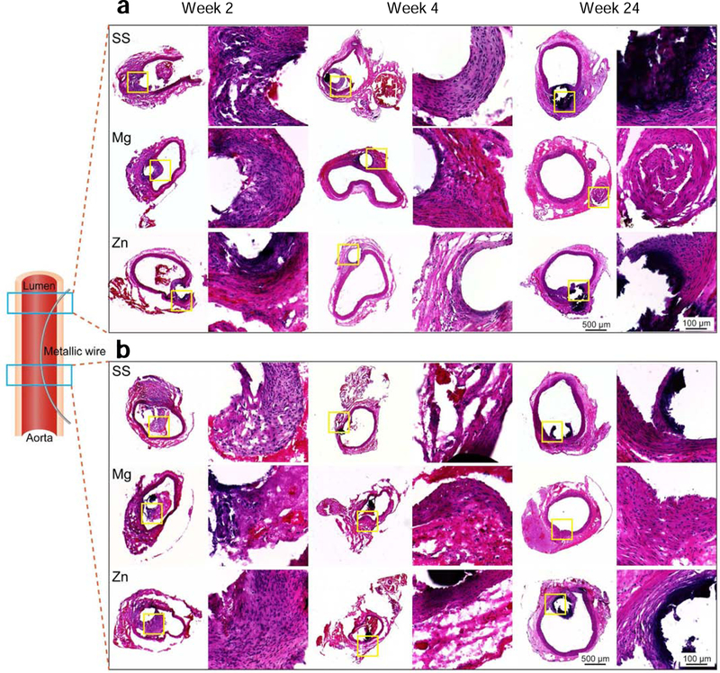 Fig. 10.