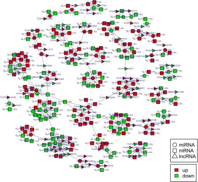 Figure 13