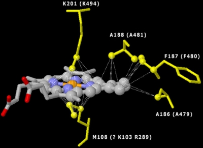 FIG. 6.