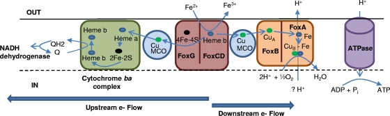 FIG. 7.