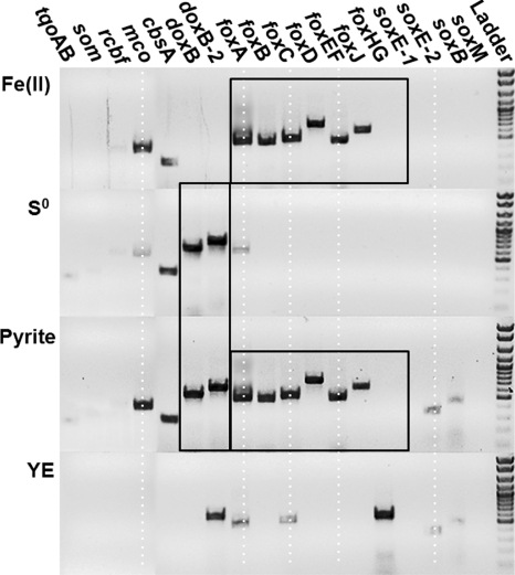 FIG. 3.