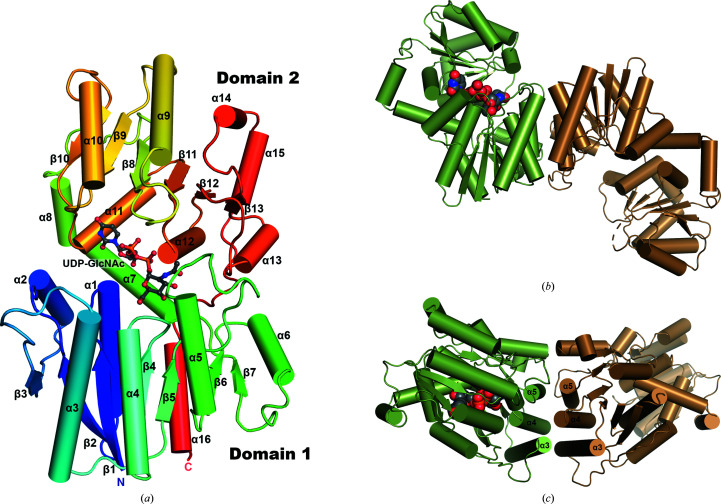 Figure 2