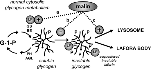 FIGURE 9.