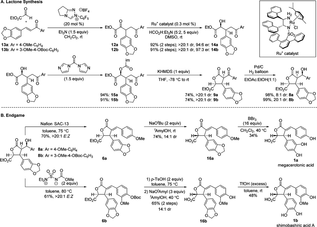 Scheme 6