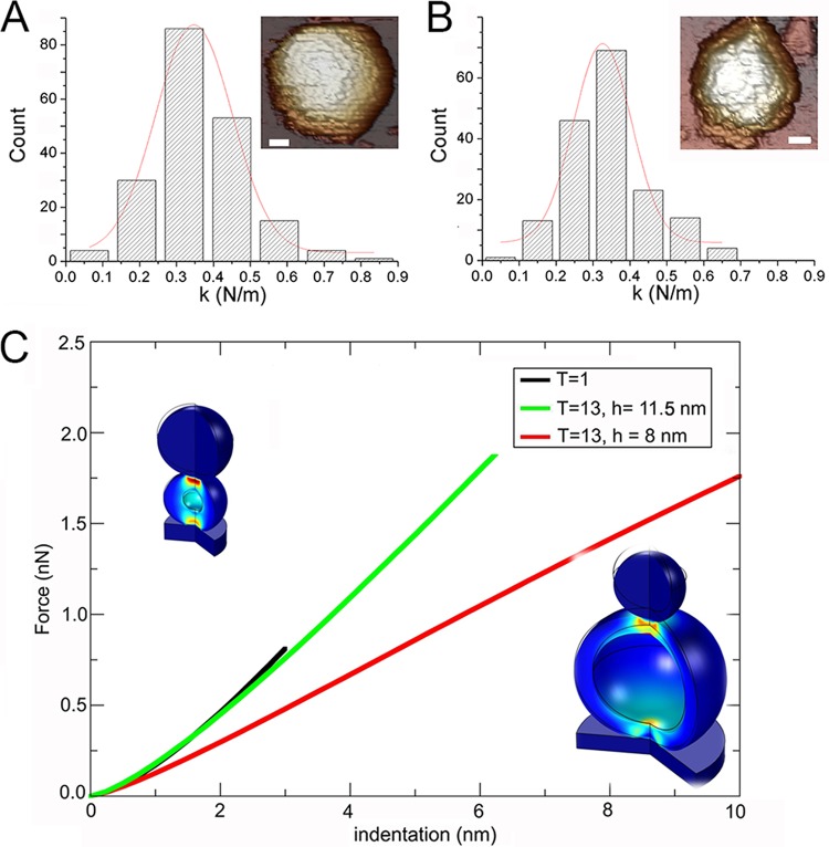 FIG 6