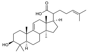 graphic file with name antibiotics-09-00325-i049.jpg