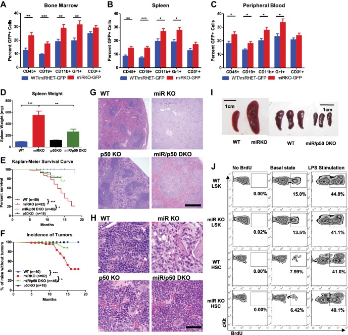 Figure 5—figure supplement 2.