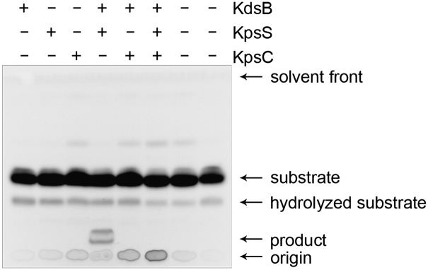 Fig. 3.