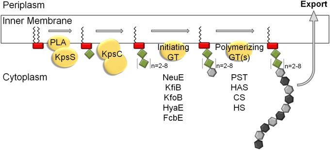 Fig. 4.