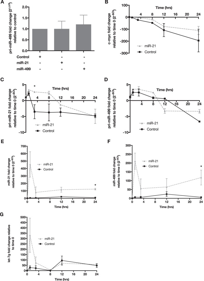 FIG 6