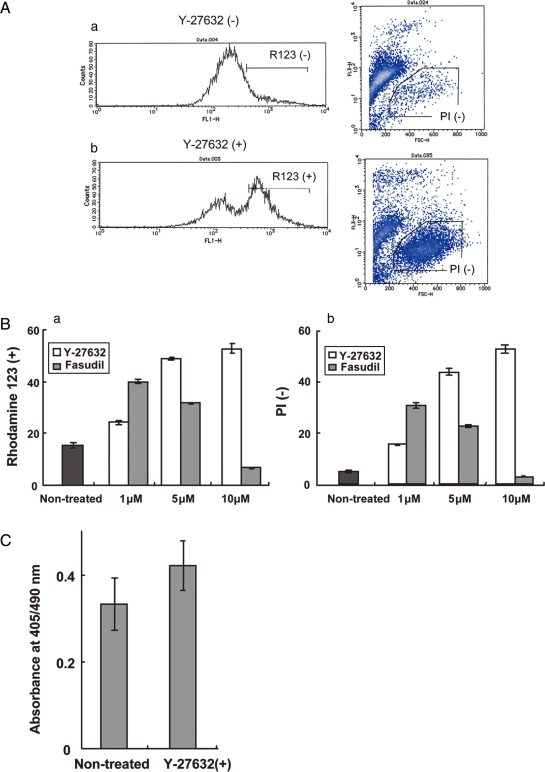 Figure 2: