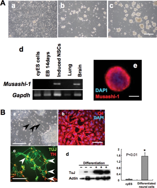 Figure 6: