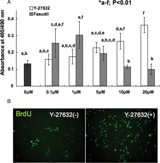 Figure 1: