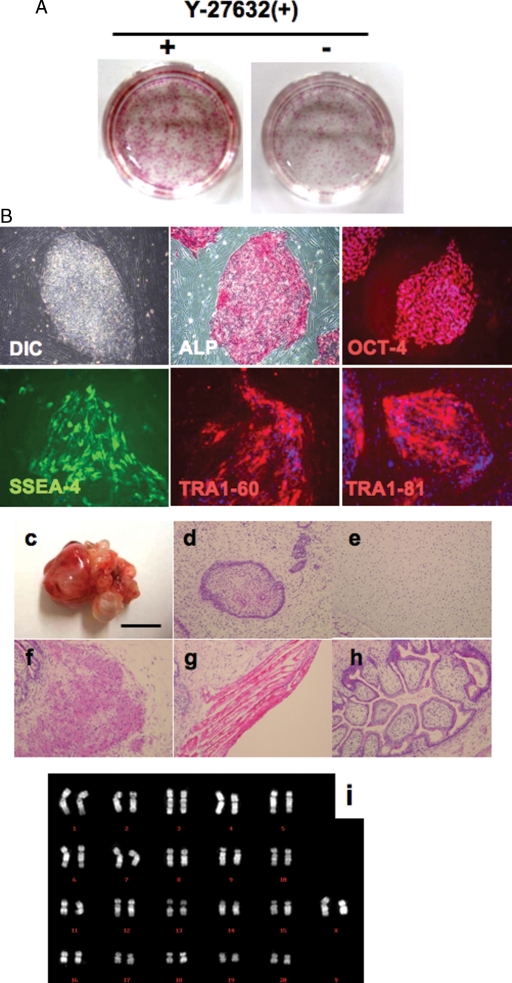 Figure 3: