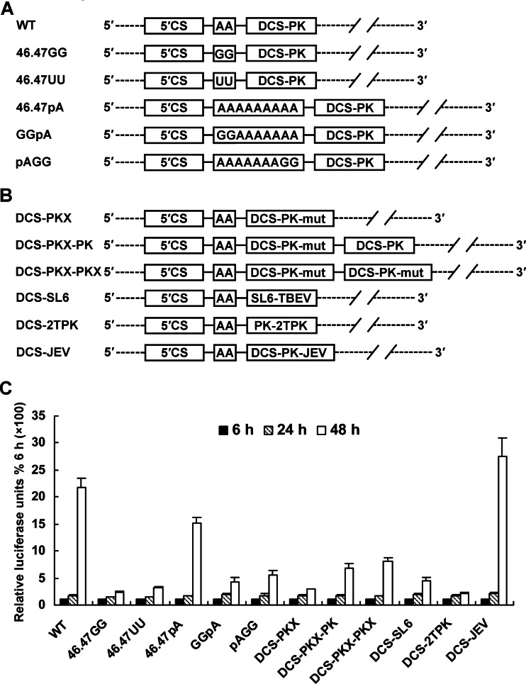 Fig 10