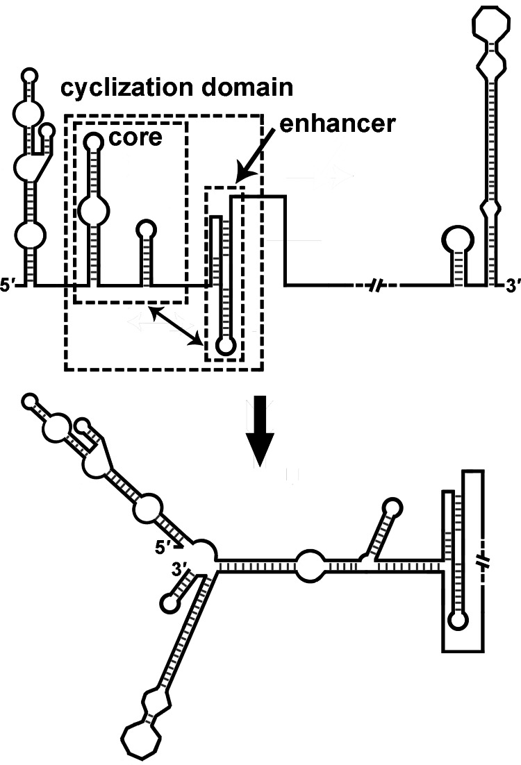 Fig 12