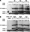 Fig 11