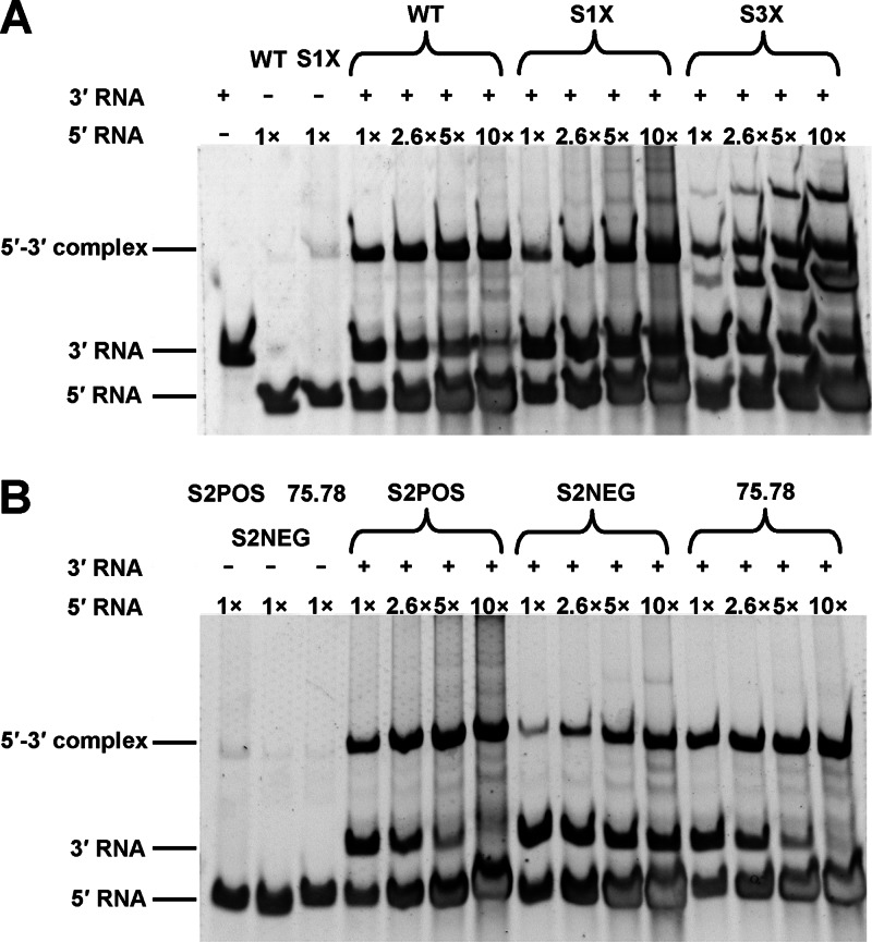 Fig 11