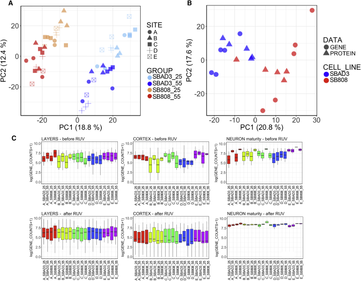 Figure 4