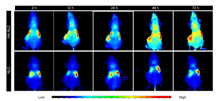 Fig. 8