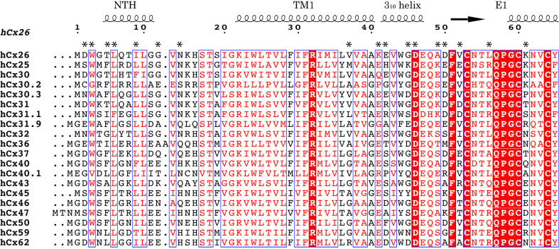 Fig. 7