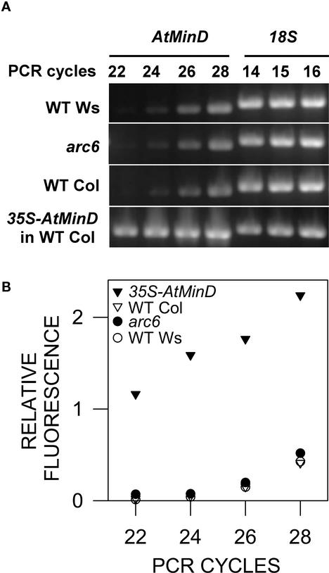 Figure 5.