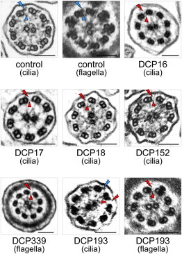 Figure 2