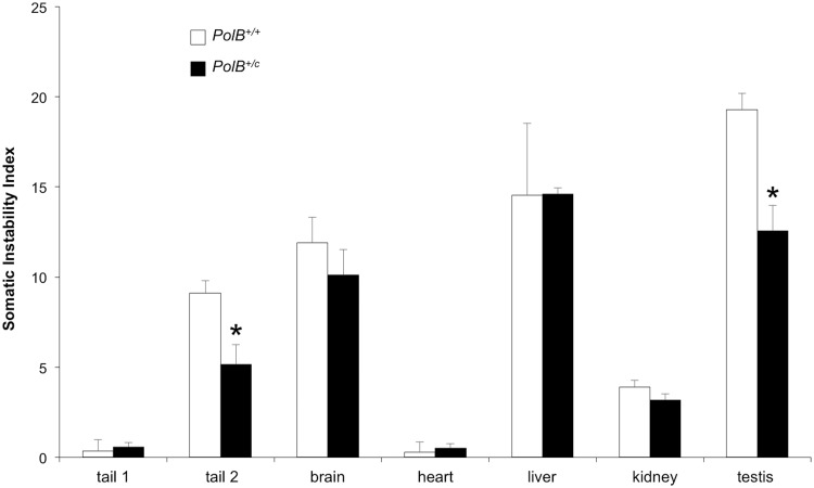 Fig 5