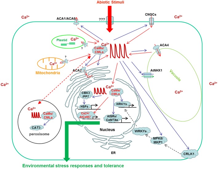 FIGURE 1