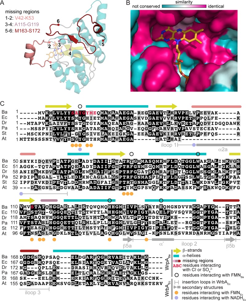 FIG 6