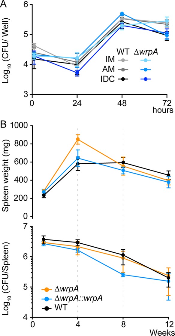 FIG 3