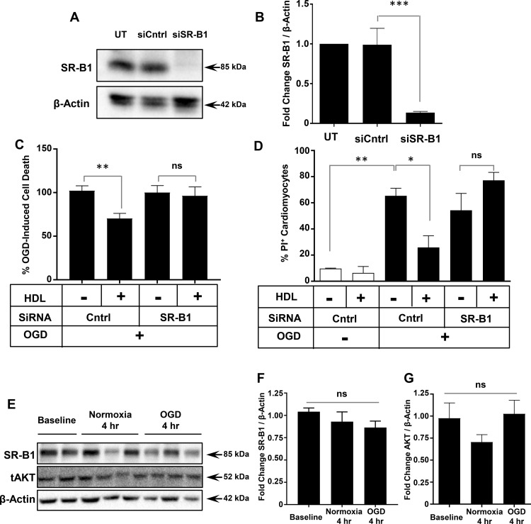 Figure 4.