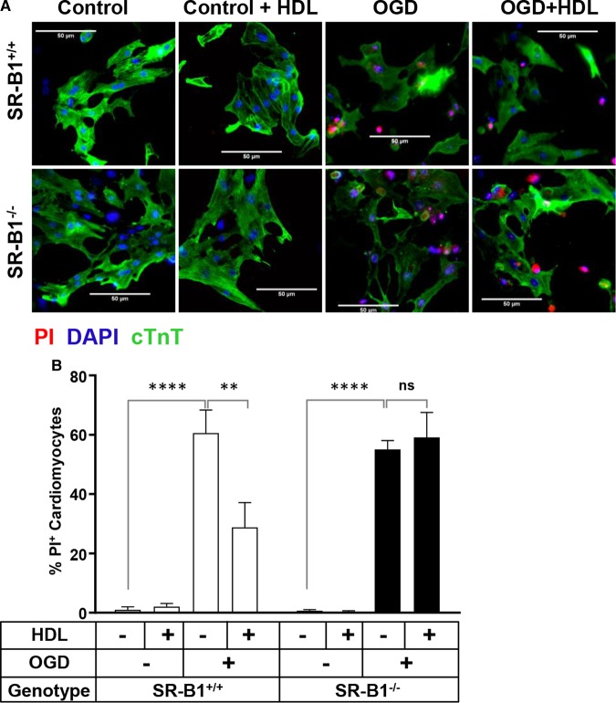 Figure 3.