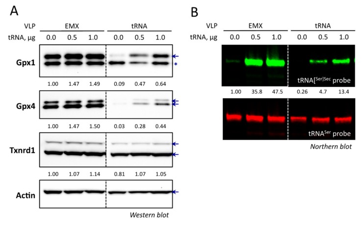 Figure 9