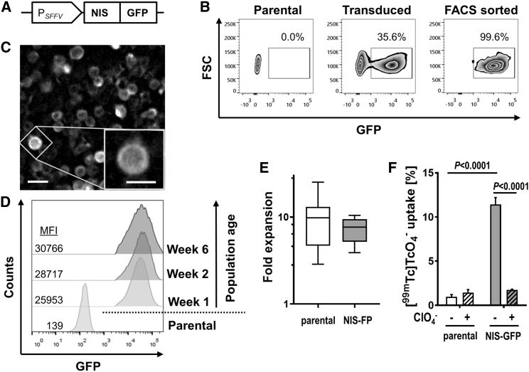 Figure 1